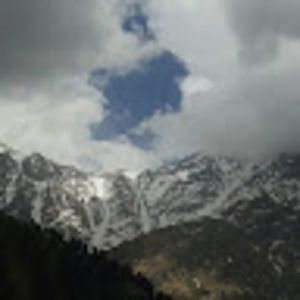 Meet your Posher, Krishan